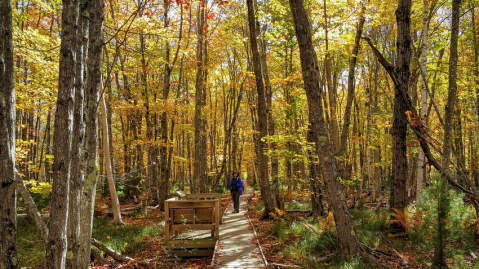 9 Short And Sweet Fall Hikes In Maine With A Spectacular End View