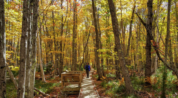 9 Short And Sweet Fall Hikes In Maine With A Spectacular End View