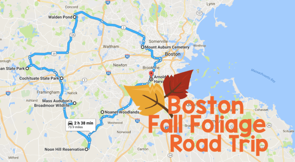 This Dreamy Road Trip Will Take You To The Best Fall Foliage In All Of Boston