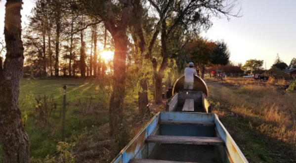 Oregon’s Pumpkin Patch Train Ride Is A Great Way To Spend A Fall Day