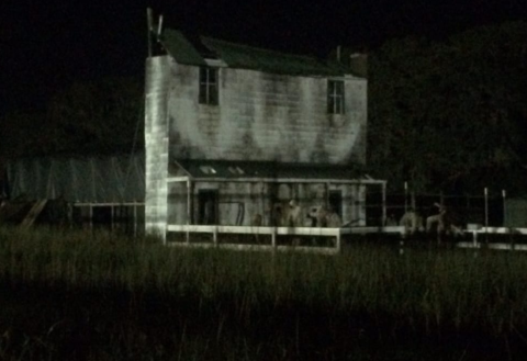 You Can Never Unsee The Horrors Of Florida's Most Haunted House Once You Step Inside