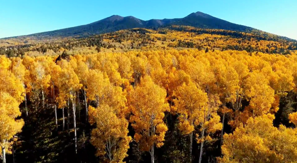This Incredible Drone Footage Will Show You Just How Amazing Fall Looks In Arizona