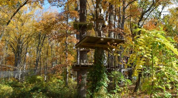 Take A Canopy Tour At The Adventure Park At Sandy Spring In Maryland To See The Fall Colors Like Never Before