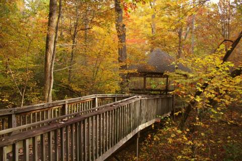 The 10 Most Breathtaking Places To Spend A Fall Afternoon In Alabama