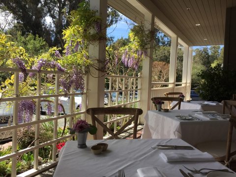 The Hidden Restaurant Near San Francisco That's Surrounded By The Most Breathtaking Fall Colors
