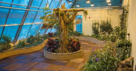 You’ll Want To Plan A Day Trip To Connecticut's Magical Butterfly House