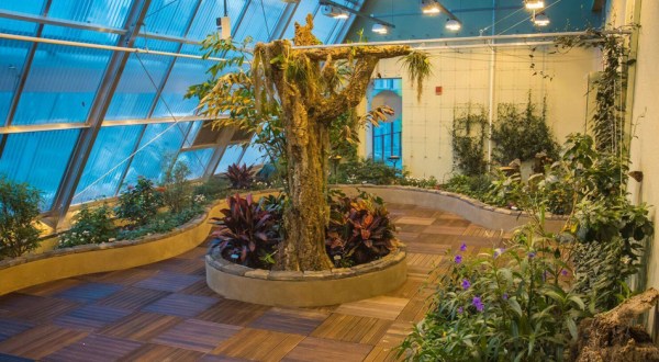 You’ll Want To Plan A Day Trip To Connecticut’s Magical Butterfly House