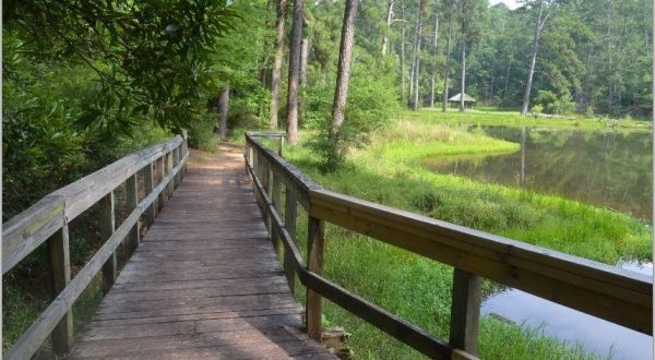 One Of The Most Beautiful Day Hikes In America Is Right Here In Mississippi