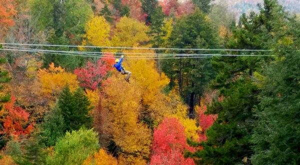 Take A Canopy Tour At Bretton Woods In New Hampshire To See The Fall Colors Like Never Before