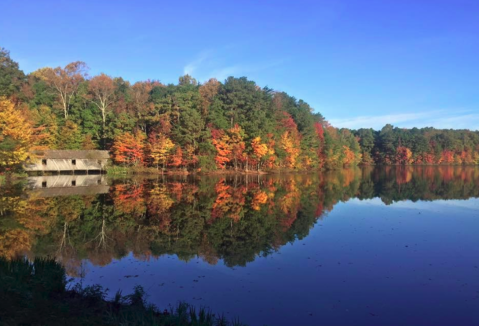 The One Hikeable Lake In Alabama That's Simply Breathtaking In The Fall