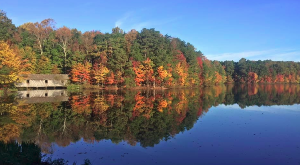 The One Hikeable Lake In Alabama That’s Simply Breathtaking In The Fall