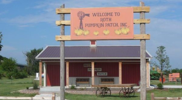 Illinois’s Pumpkin Patch Train Ride Is A Great Way To Spend A Fall Day