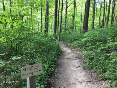 8 Easy Hikes To Add To Your Outdoor Bucket List In Indianapolis