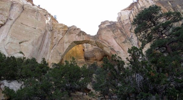 5 Hikes In New Mexico That Will Lead You To Stunning Natural Arches