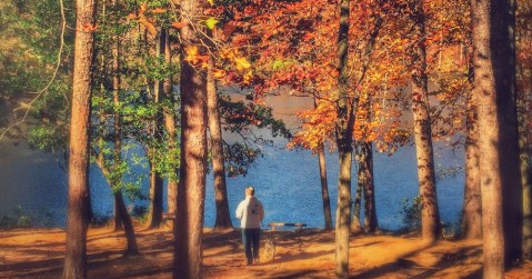 The One Hikeable Lake In South Carolina That's Simply Breathtaking In The Fall
