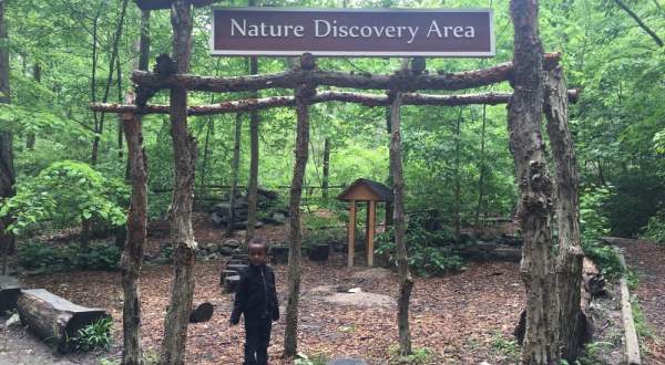 The Little Known DC Nature Center That Will Bring Out The Explorer In You