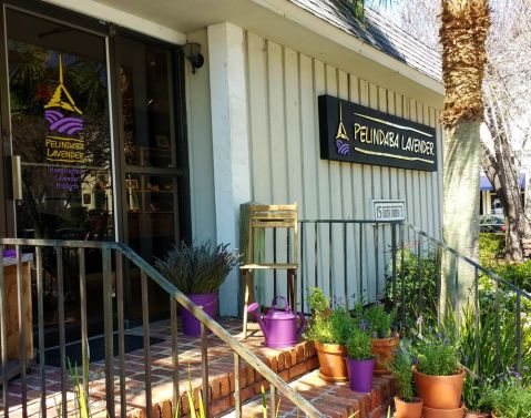 You'll Never Want To Leave This Charming Store In Florida