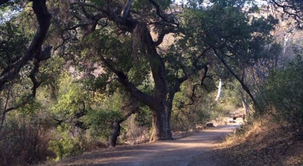 One Of The Most Beautiful Day Hikes In America Is Right Here In Southern California