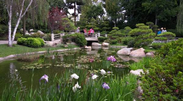 There’s A Little Known Unique Japanese Garden In Southern California And It’s Truly Serene