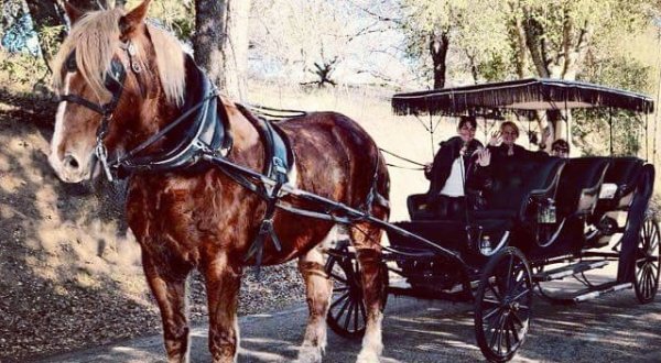 The Dreamy Horse-Drawn Carriage Ride In Southern California That Is Too Magical For Words