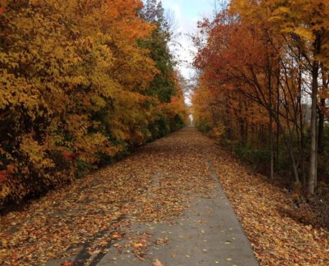This Indiana Greenway is the Perfect Place to Explore in the Fall