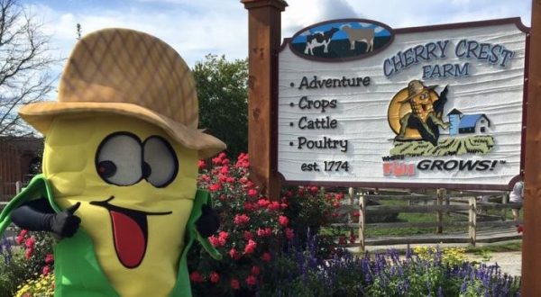 Most People Have No Idea This Amazing Farm Park In Pennsylvania Even Exists