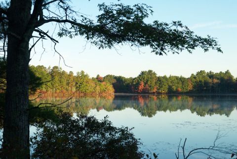 The One Hikeable Lake In Rhode Island That's Simply Breathtaking In The Fall