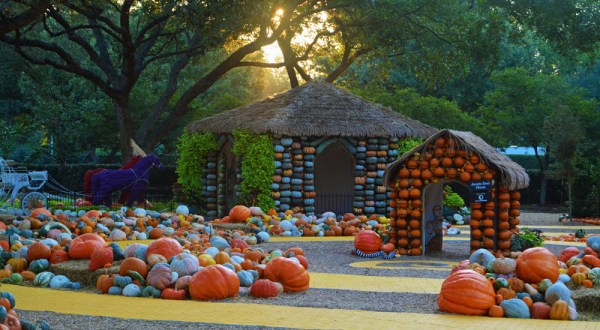 15 Harvest Festivals Around Dallas – Fort Worth That Will Make Your Autumn Awesome