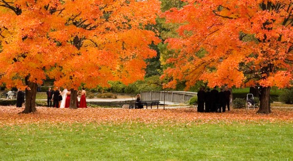 The One Park In Kansas City That Transforms Into An Autumn Wonderland