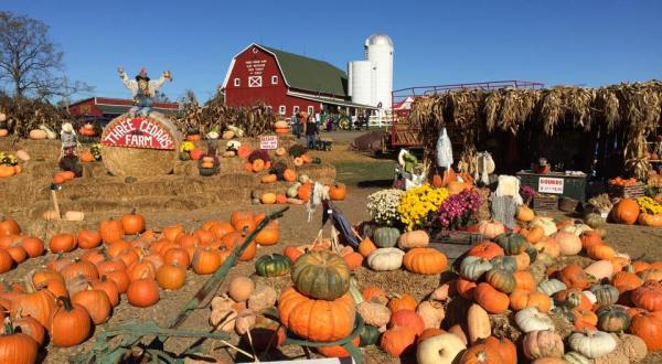These 7 Charming Pumpkin Patches Near Detroit Are Picture Perfect For A Fall Day