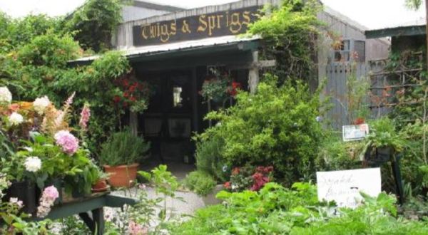 This Greenhouse Restaurant In Indiana Is The Most Enchanting Place To Eat