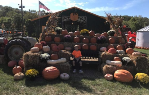 This Unusual Pumpkin Patch In Missouri Will Lead You Straight Into A Cliffside Cave