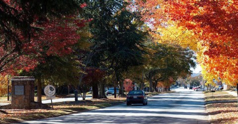 The One South Carolina Town Everyone Must Visit This Fall