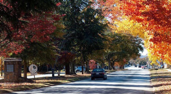 The One South Carolina Town Everyone Must Visit This Fall