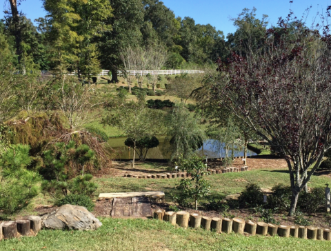 You Have To See These Downright Dazzling Botanical Gardens Hiding In Louisiana