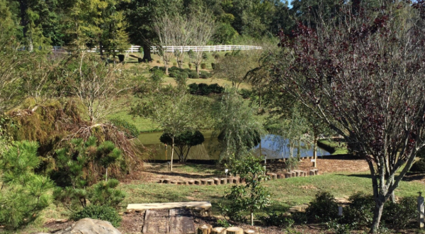 You Have To See These Downright Dazzling Botanical Gardens Hiding In Louisiana