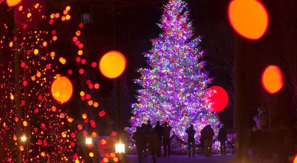 The Magical Pennsylvania Garden That Comes Alive With Light Each Winter