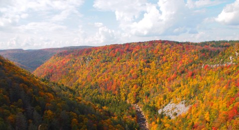 This Grand Mountain Drive Will Lead You To The Best Views in West Virginia