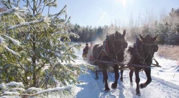 This Christmas Farm In Colorado Will Positively Enchant You This Season