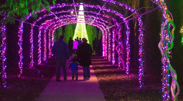 The Mesmerizing Christmas Display In Tennessee With Over 1 Million Glittering Lights