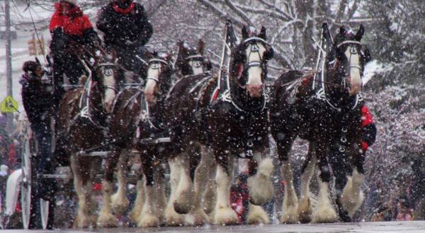 Experience The Magic Of The Holidays At This Festive Horse Drawn Carriage Parade Near Cincinnati