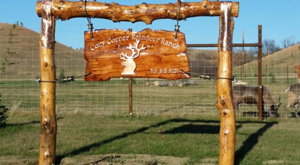 This Reindeer Farm In North Dakota Will Positively Enchant You This Season