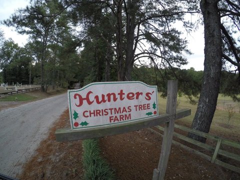 This Christmas Farm In Georgia Will Positively Enchant You This Season