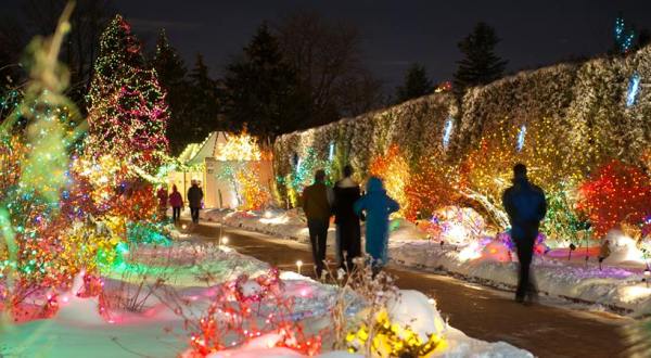 The Winter Walk In Denver That Will Positively Enchant You