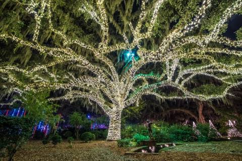 Take An Enchanting Winter Walk Through Brookgreen Gardens In South Carolina