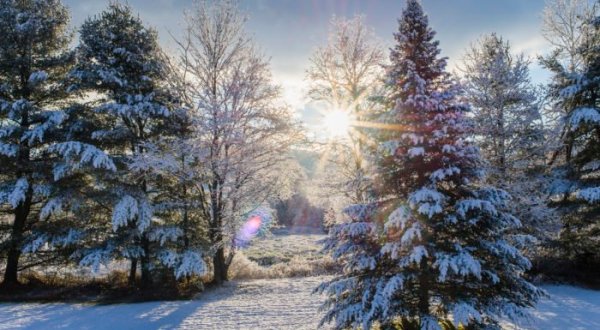 21 Things No One Tells You About Surviving A Vermont Winter
