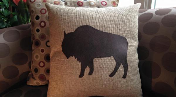 9 Undeniable Things You’ll Find In Every Buffalo Home