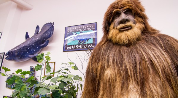 10  Attractions That Prove Maine Might Be The Weirdest Place In America