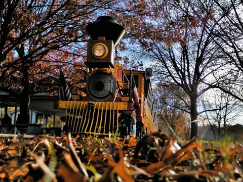 The Forest Park Train Ride In Fort Worth That's Perfect For A Fall Day
