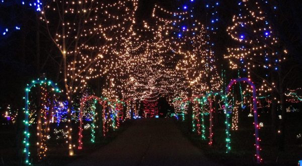 14 Magical Light Displays In Ohio That Will Simply Mesmerize You This Season